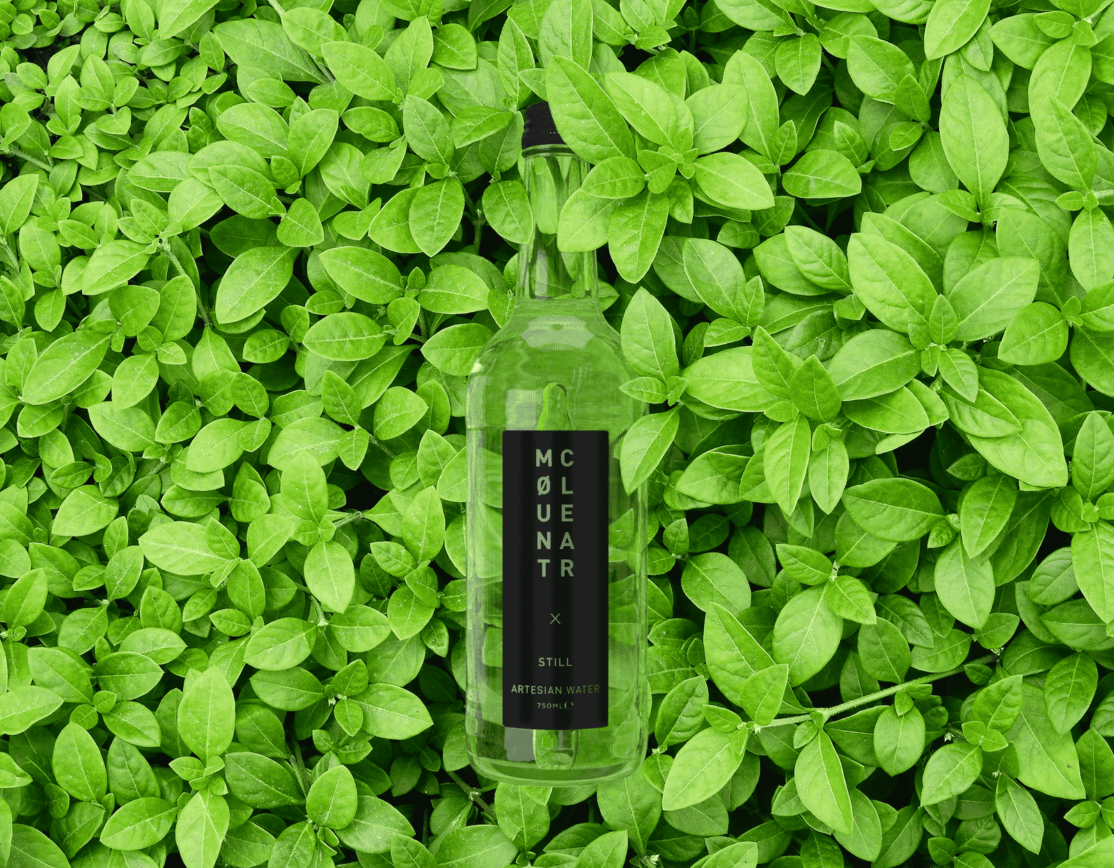 MC Bottle with Leaves-9-min (1)